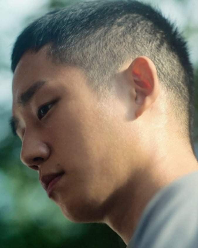 The Parallel Universe Vibes Between Weak Hero and D.P.