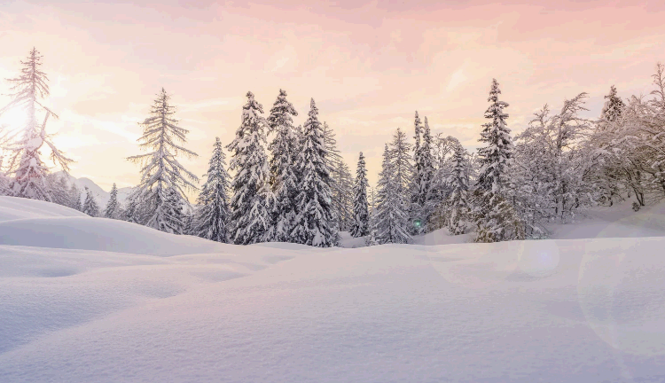 Working-Class Mr. Ahn’s Unscheduled Visits to Dr. Yeon’s Clinic (12-1)